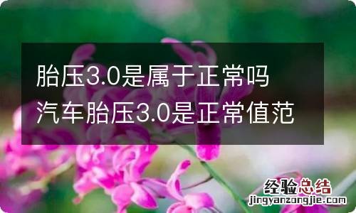 胎压3.0是属于正常吗 汽车胎压3.0是正常值范围
