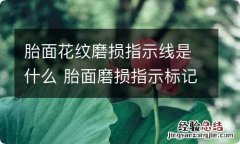 胎面花纹磨损指示线是什么 胎面磨损指示标记