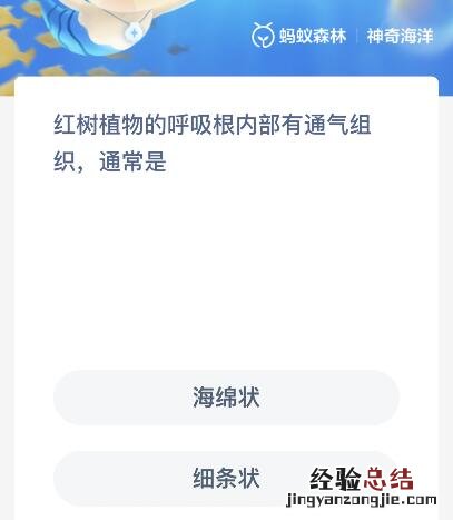 红树植物的呼吸根内部有通气组织通常是？神奇海洋11月15日最新答案