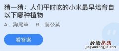 蚂蚁庄园11月16日答案最新：小米最早培育自以下哪种植物？人在紧张时手心为什么容易出汗？