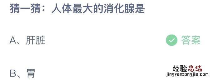 蚂蚁庄园11.2最新答案：人体最大的消化腺是肝脏还是胃？