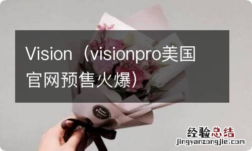 visionpro美国官网预售火爆 Vision