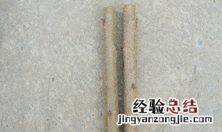 如何防止桃木开裂? 怎么防止桃木棍裂开