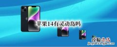 苹果14有灵动岛吗 苹果14有灵动岛吗还是苹果14普肉有灵动岛