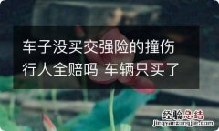 车子没买交强险的撞伤行人全赔吗 车辆只买了交强险撞车可以理赔吗?