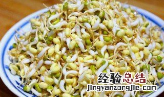 绿豆生豆芽的方法 绿豆生豆芽的方法有哪些