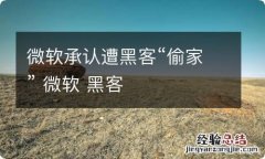 微软承认遭黑客“偷家” 微软 黑客