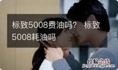 标致5008费油吗？ 标致5008耗油吗