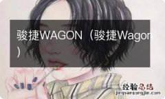 骏捷Wagon 骏捷WAGON