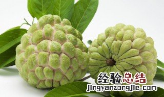 释迦果什么季节成熟 3-4月份应季水果