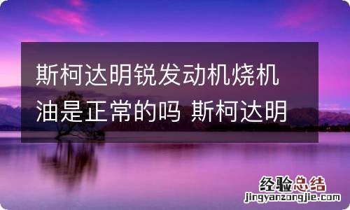 斯柯达明锐发动机烧机油是正常的吗 斯柯达明锐发动机烧机油是正常的吗