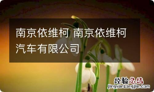 南京依维柯 南京依维柯汽车有限公司