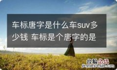 车标唐字是什么车suv多少钱 车标是个唐字的是什么车什么价位