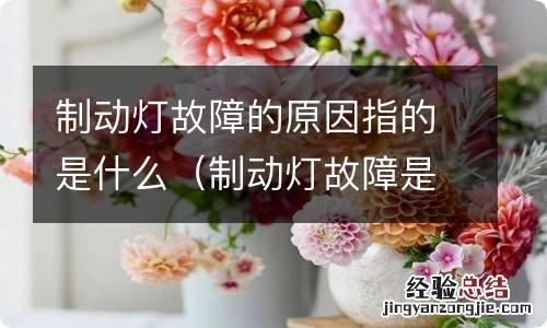 制动灯故障是什么意思 制动灯故障的原因指的是什么