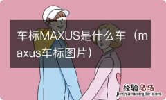 maxus车标图片 车标MAXUS是什么车