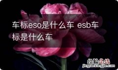 车标eso是什么车 esb车标是什么车