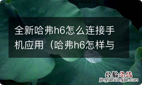 哈弗h6怎样与手机互联 全新哈弗h6怎么连接手机应用