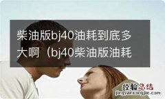 bj40柴油版油耗多少 柴油版bj40油耗到底多大啊