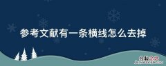 参考文献有一条横线怎么去掉 参考文献有一条横线怎么去掉wps