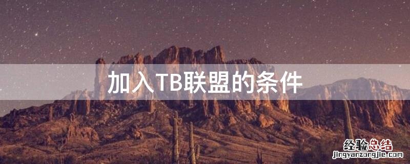 加入TB联盟的条件