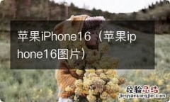 苹果iphone16图片 苹果iPhone16