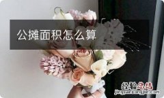 公摊面积怎么算