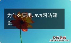 为什么要用Java网站建设