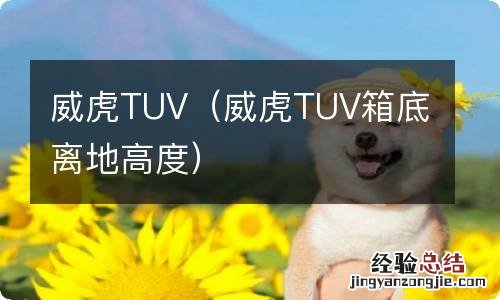 威虎TUV箱底离地高度 威虎TUV