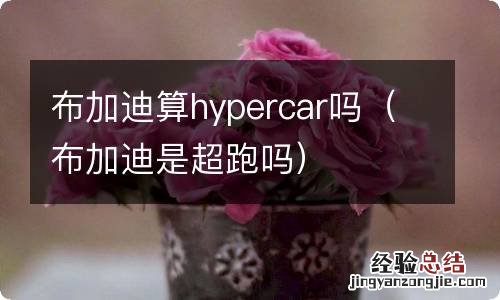 布加迪是超跑吗 布加迪算hypercar吗