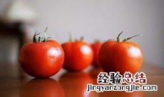 西红柿属于水果还是蔬菜 西红柿属于水果还是蔬菜一年级