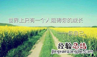 励志语录正能量 关于励志语录正能量有哪些
