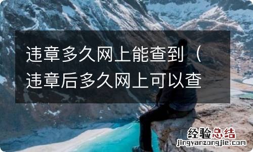 违章后多久网上可以查到 违章多久网上能查到