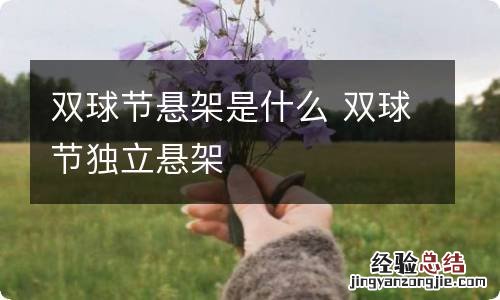 双球节悬架是什么 双球节独立悬架