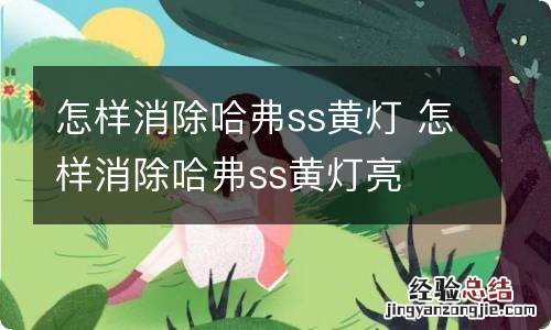 怎样消除哈弗ss黄灯 怎样消除哈弗ss黄灯亮