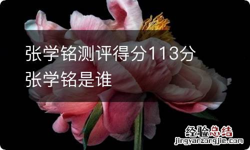 张学铭测评得分113分 张学铭是谁