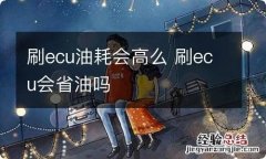 刷ecu油耗会高么 刷ecu会省油吗