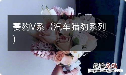 汽车猎豹系列 赛豹V系