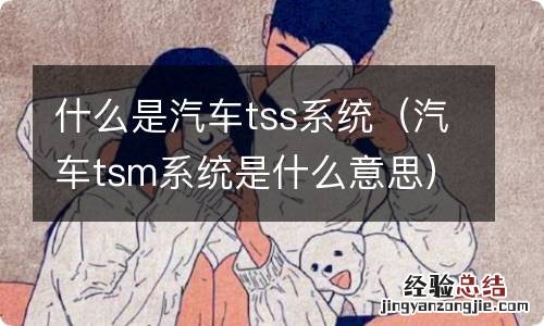 汽车tsm系统是什么意思 什么是汽车tss系统
