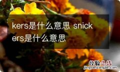 kers是什么意思 snickers是什么意思