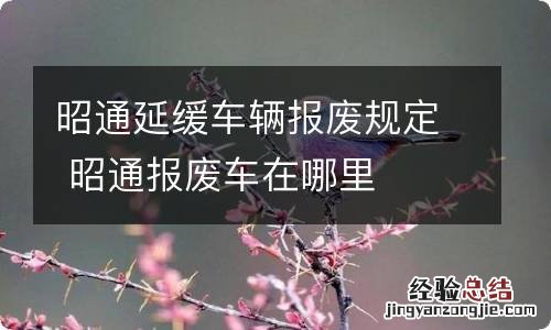 昭通延缓车辆报废规定 昭通报废车在哪里