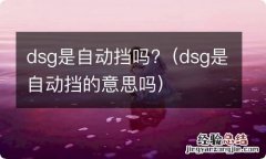 dsg是自动挡的意思吗 dsg是自动挡吗?