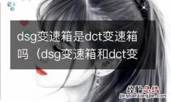 dsg变速箱和dct变速箱的区别 dsg变速箱是dct变速箱吗