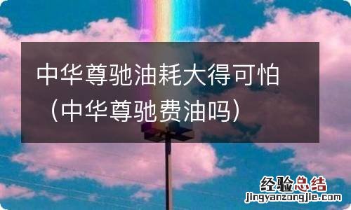 中华尊驰费油吗 中华尊驰油耗大得可怕