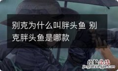 别克为什么叫胖头鱼 别克胖头鱼是哪款