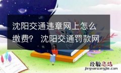 沈阳交通违章网上怎么缴费？ 沈阳交通罚款网上缴费