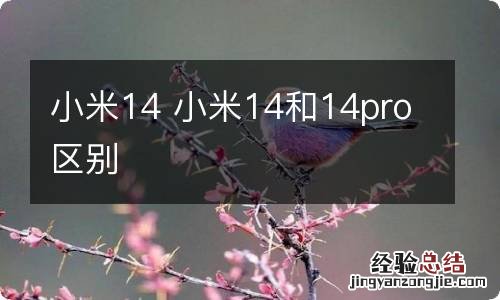 小米14 小米14和14pro区别