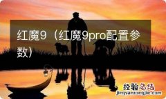 红魔9pro配置参数 红魔9