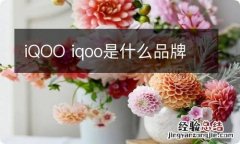 iQOO iqoo是什么品牌