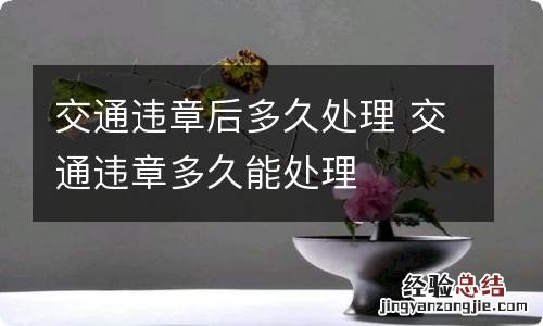 交通违章后多久处理 交通违章多久能处理