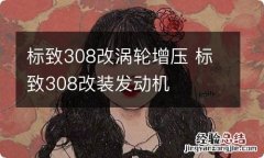 标致308改涡轮增压 标致308改装发动机